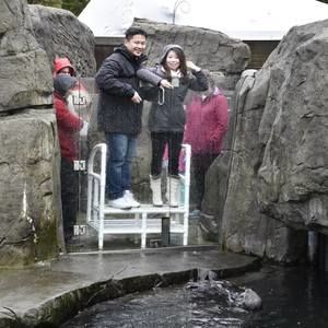 Meet your Posher, Weiting